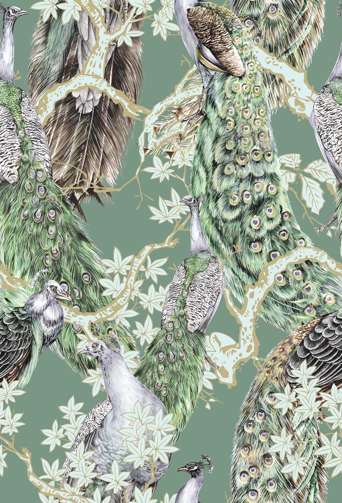 Tapeta Peacock Green